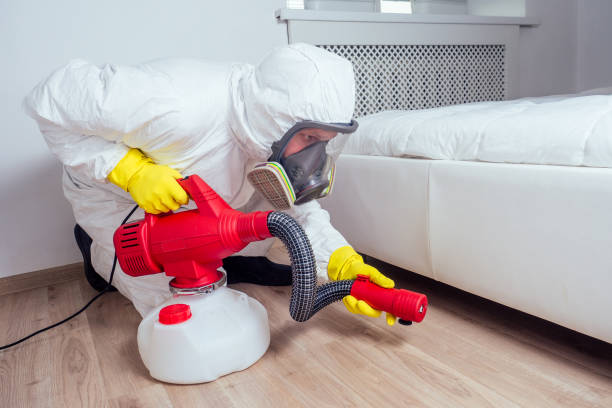 Real Estate Pest Inspections in Riverton, IL